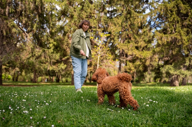 Foto perro adorable en el parque en la naturaleza con el dueño