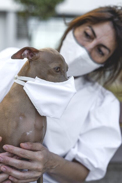 Foto perro al aire libre con máscara protectora para coronavirus