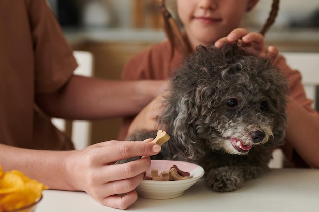 Perro de alimentación de madre e hija