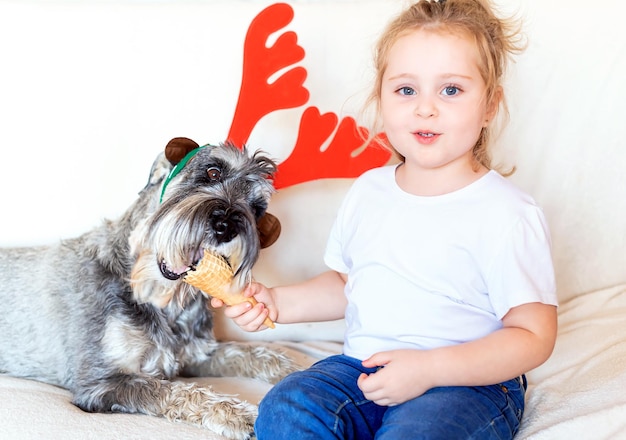 Un perro amado con cuernos de Navidad come helado