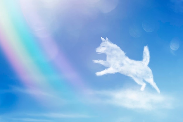 Foto perro ángel caminando sobre el arco iris. forma de nubes de perro