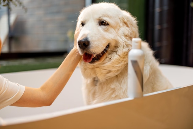 perro en la bañera