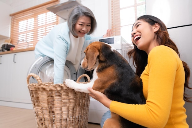 Perro beagle ayudando a las personas en la casa a poner la ropa en la lavadora