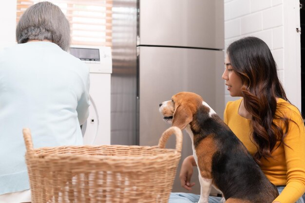 Perro beagle ayudando a las personas en la casa a poner la ropa en la lavadora