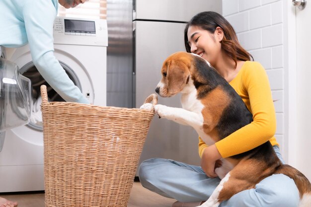 Perro beagle ayudando a las personas en la casa a poner la ropa en la lavadora