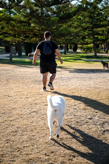 Un perro blanco con una mancha negra en un ojo jugando con su dueño en un parque.