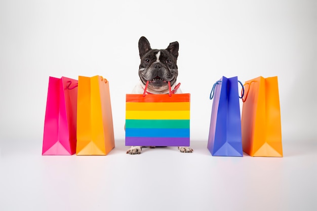 Foto perro bulldog francés con bolsas de compras