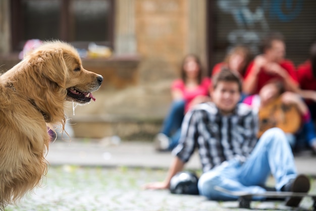 Perro en la calle