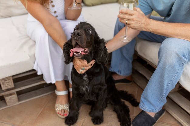 Perro de caricias de personas mayores de alto ángulo