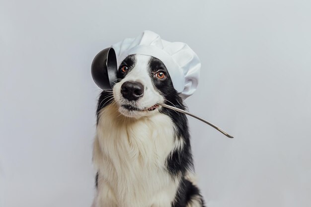 Foto perro contra un fondo blanco