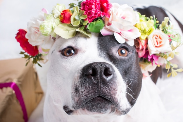 un perro en una corona de flores