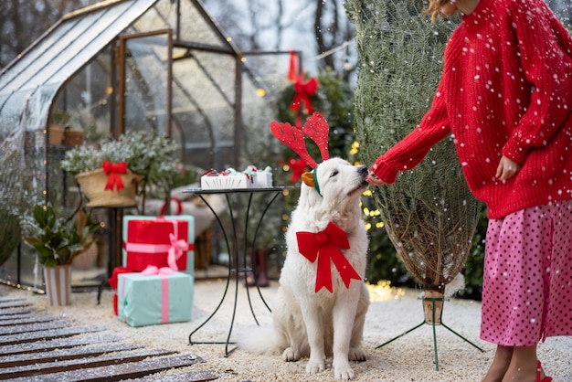 Perro con cuernos de ciervo festivos y arco en el patio trasero decorado para las vacaciones de invierno