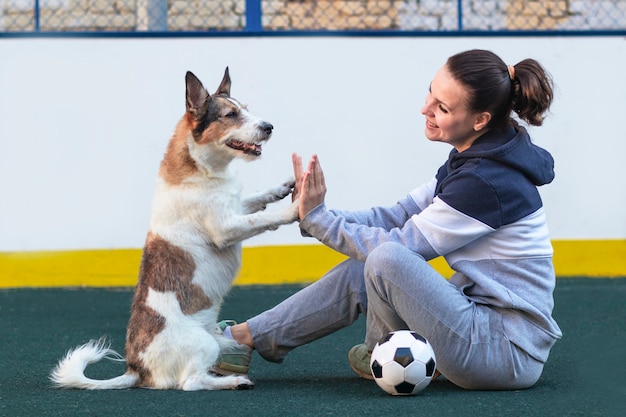 Foto perro le da cinco al dueño mientras juega