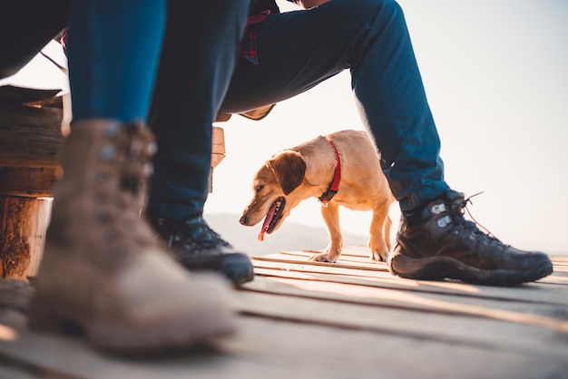 Foto perro debajo de las piernas de los excursionistas