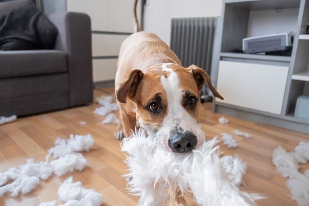 Un perro destruyendo una almohada mullida en casa.