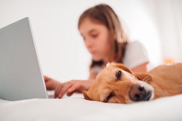 Perro durmiendo en la cama por la chica que trabaja en la computadora portátil