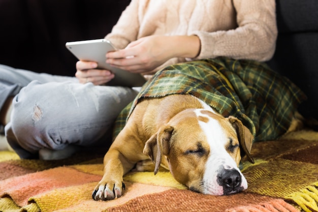 Perro durmiendo con lectura humana