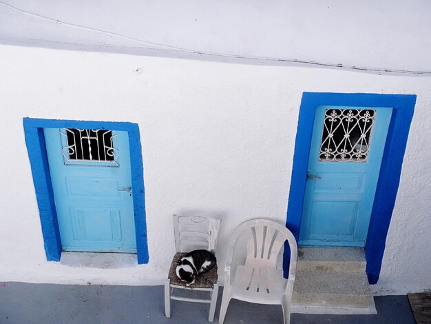 Perro durmiendo en una silla junto a la puerta