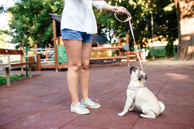 Perro feliz y niña La niña está jugando con un perro Mujer joven caminando con un perro pug en el parque de verano Retrato de un pug Retrato de un hermoso cachorro pug El perro está tirado en el suelo