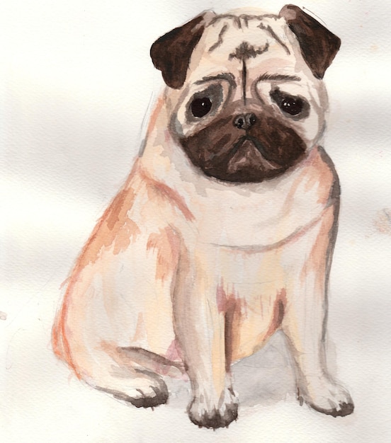 Perro en un fondo blanco con un perro de dibujos animados de mal humor