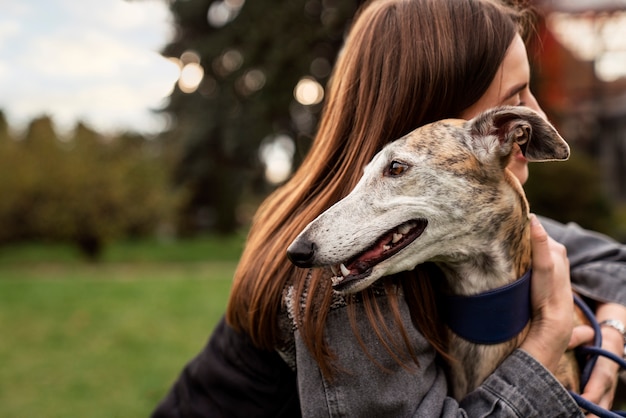 Perro galgo disfrutando de su paseo