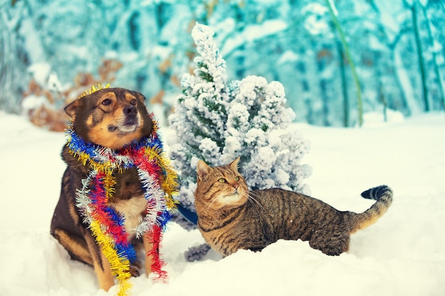 Un perro y un gato sentados juntos al aire libre en un bosque nevado cerca de un árbol de Navidad