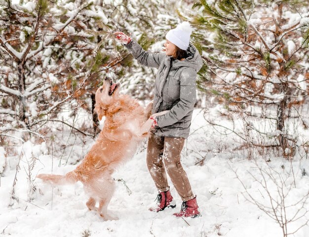 Perro golden retriever con chica en invierno