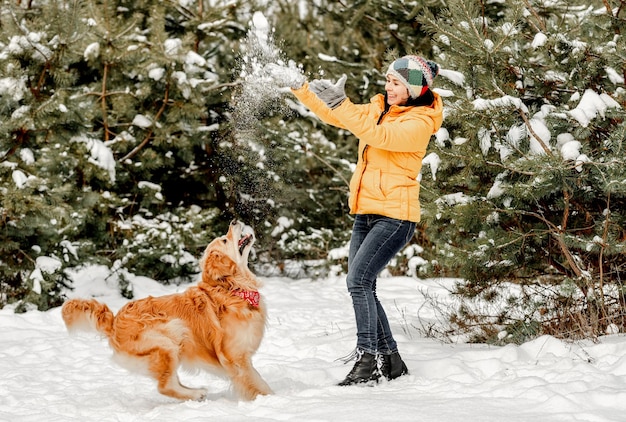 Perro golden retriever en invierno