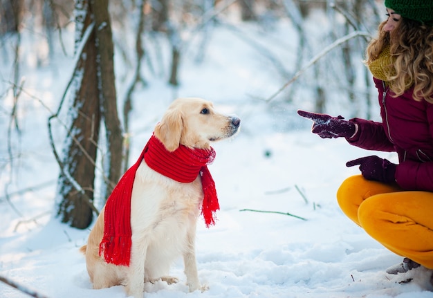 Perro golden retriever obediente con su dueño practicando comando sit