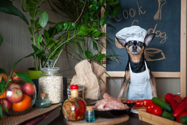 Perro con gorro de cocinero y delantal en una mesa cocinando comida en la cocina. Concepto de comida sana para perros