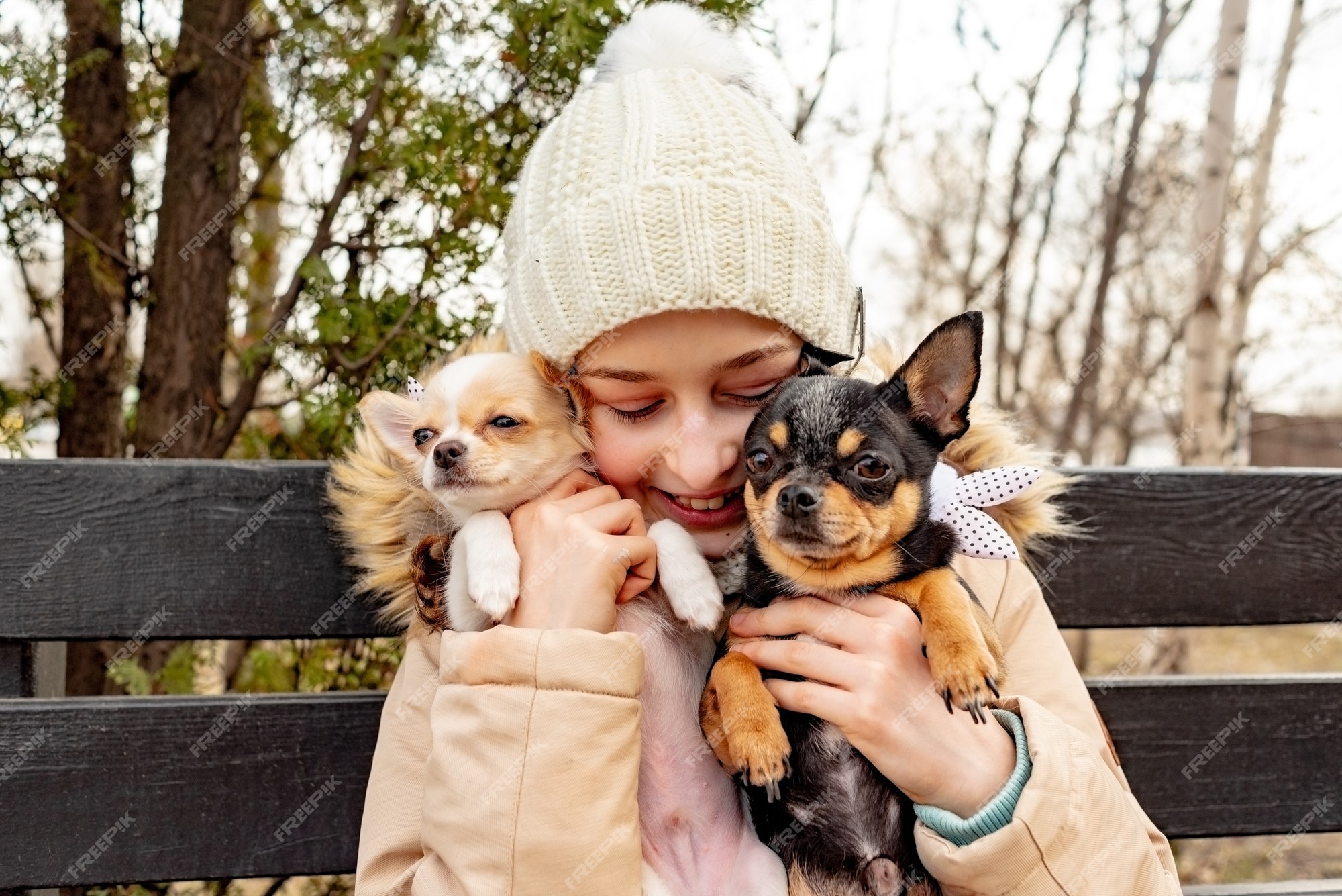 Perro hembra. adolescente con dos perros chihuahua brazos. perros ropa. amigo dueño | Foto Premium