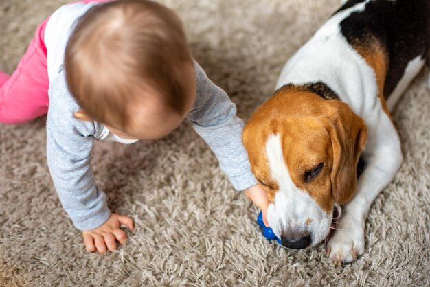 Foto el perro masticando su juguete en una alfombra el bebé juega con él tratando de agarrar su juguete arriba disparar