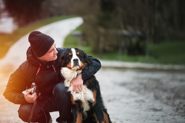 Perro de montaña bernés joven adorable en los Alpes suizos Perro de montaña bernés