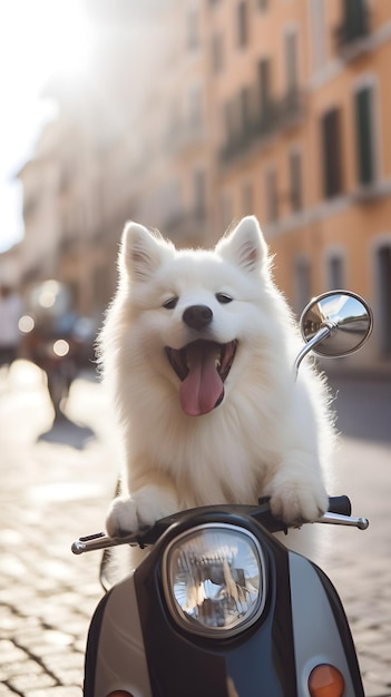 Un perro en una moto con un fondo borroso