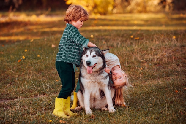 Perro y niños divertidos disfrutando juntos al aire libre niños lindos con perros caminando en el campo en un día soleado