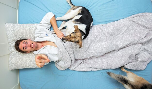 Perro pastor acostado en el pecho masculino en casa