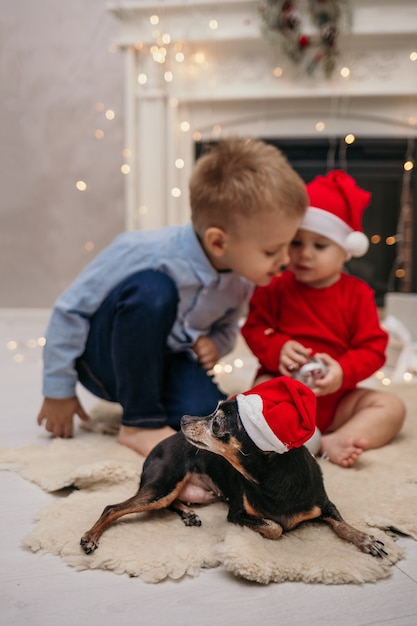 Un perro pinscher enano en un sombrero rojo de Navidad yace sobre una alfombra de piel junto a niños jugando