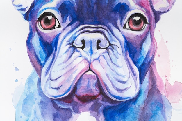 Perro pintado en acuarela sobre un fondo blanco