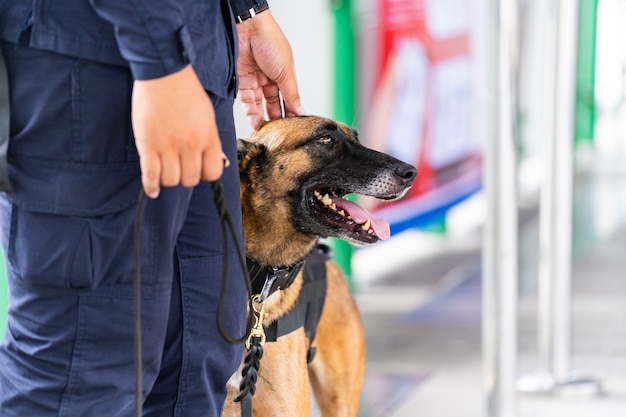 Perro policía parado en la estación de tren