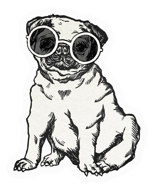El perro pug lindo png pegatina dibujo ilustración fondo transparente