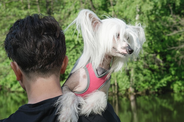 El perro de la raza Crestado Chino puso sus patas en el hombro del dueño y miró hacia otro lado.