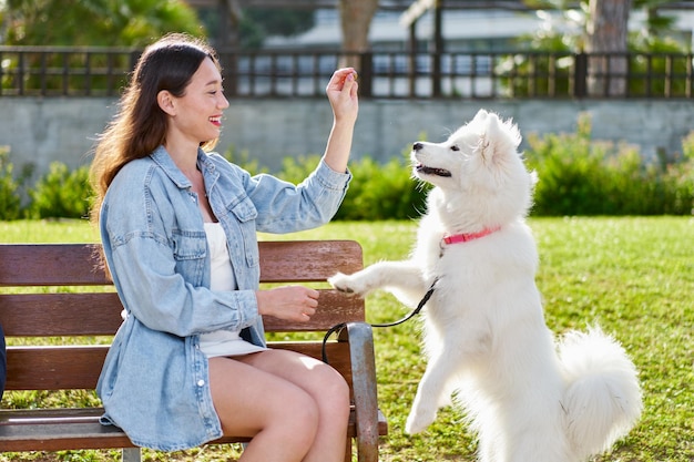 Perro samoyedo con su dueña en el parque jugando juntos