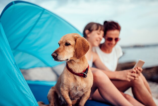 Perro sentado dentro de la tienda de playa con dos personas junto al mar