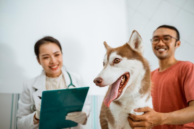 Foto un perro siberiano marrón parado sobre una mesa de metal y sacando la lengua mientras su dueño la sostiene