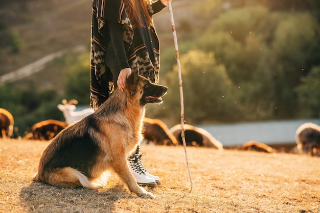 El perro se sienta con su dueño en el césped.