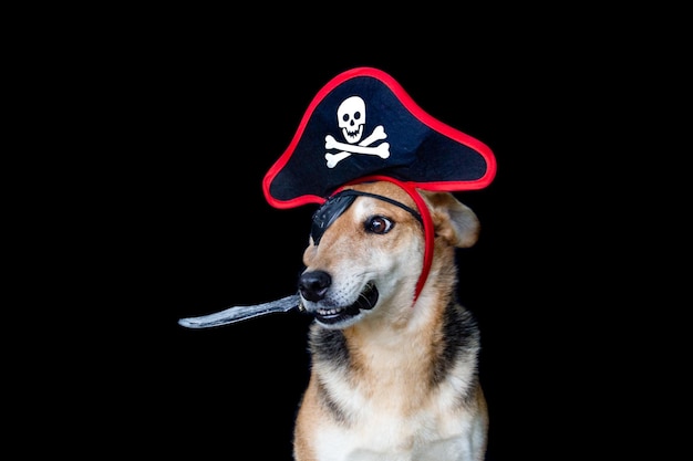 Perro con sombrero de pirata y parche sosteniendo un cuchillo con la boca