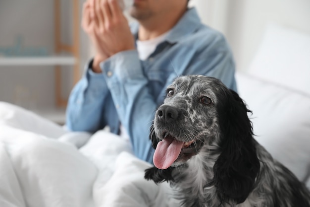 Perro con su dueño enfermo en casa