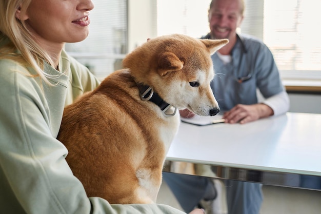 Foto perro y su dueño en un examen general en una clínica veterinaria