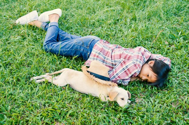 Foto perro tendido en el campo de hierba