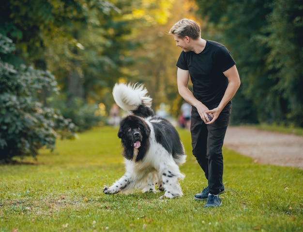 Perro de Terranova juega con hombre y mujer en el parque